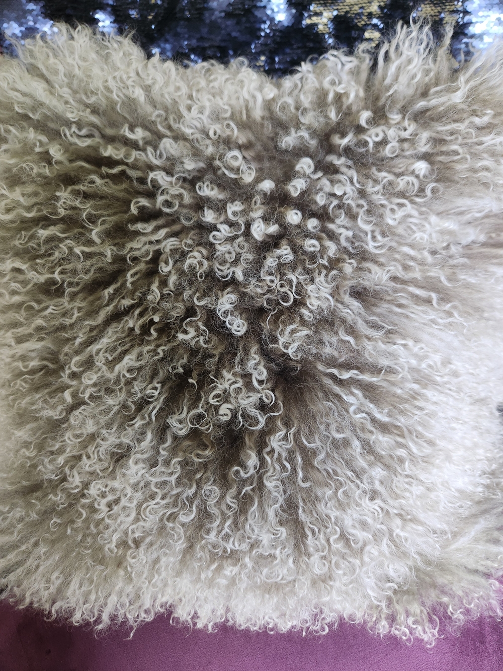 Plush Curly Sheepskin Accent Pillow in Taupe